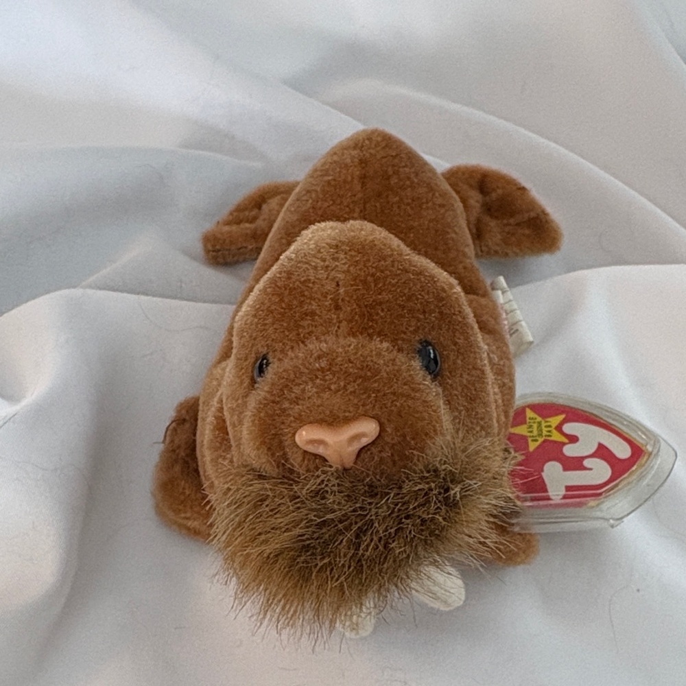 Ty Beanie Babies “Paul” Walrus